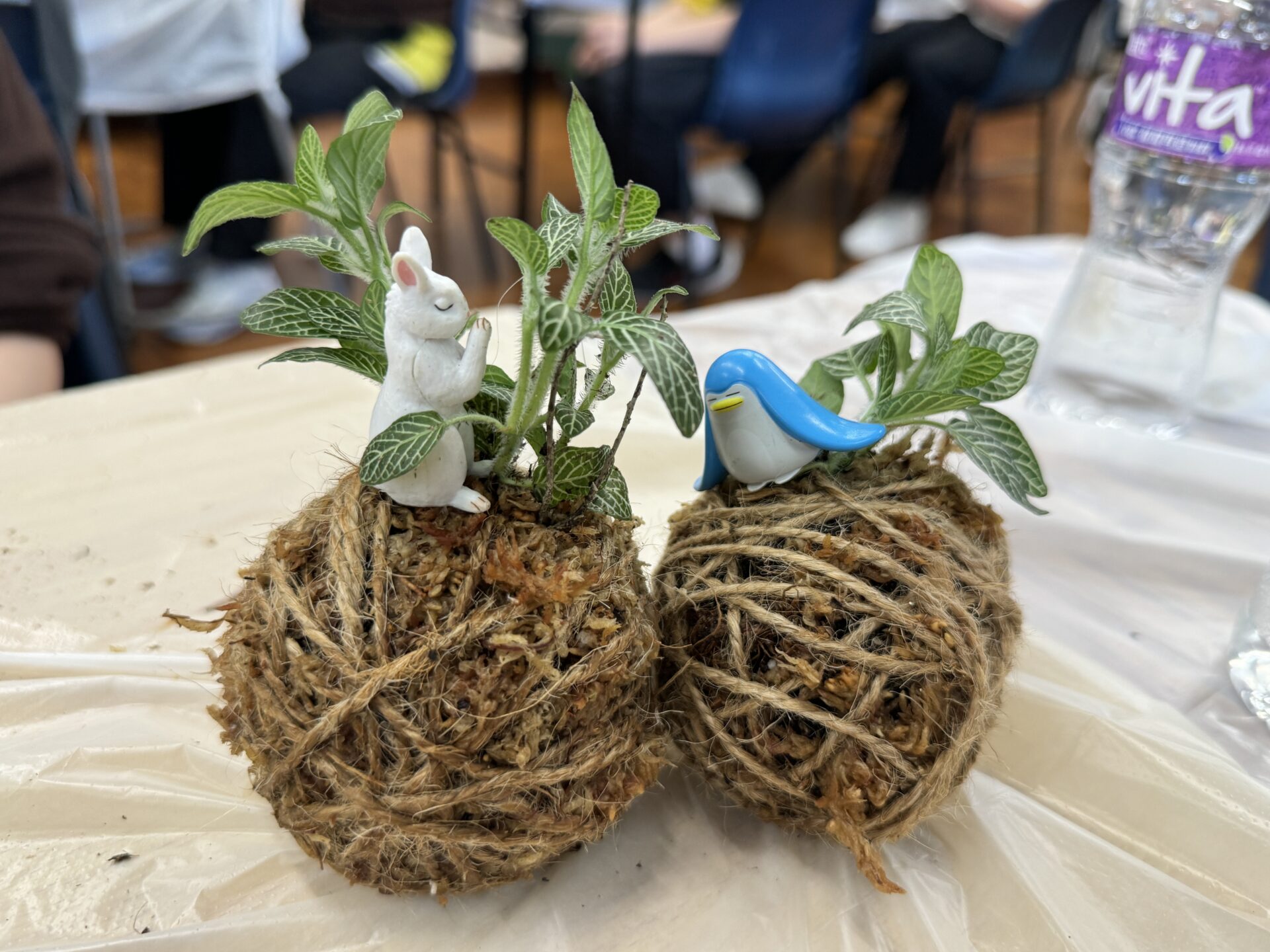 Caregivers’ relaxing horticulture workshop