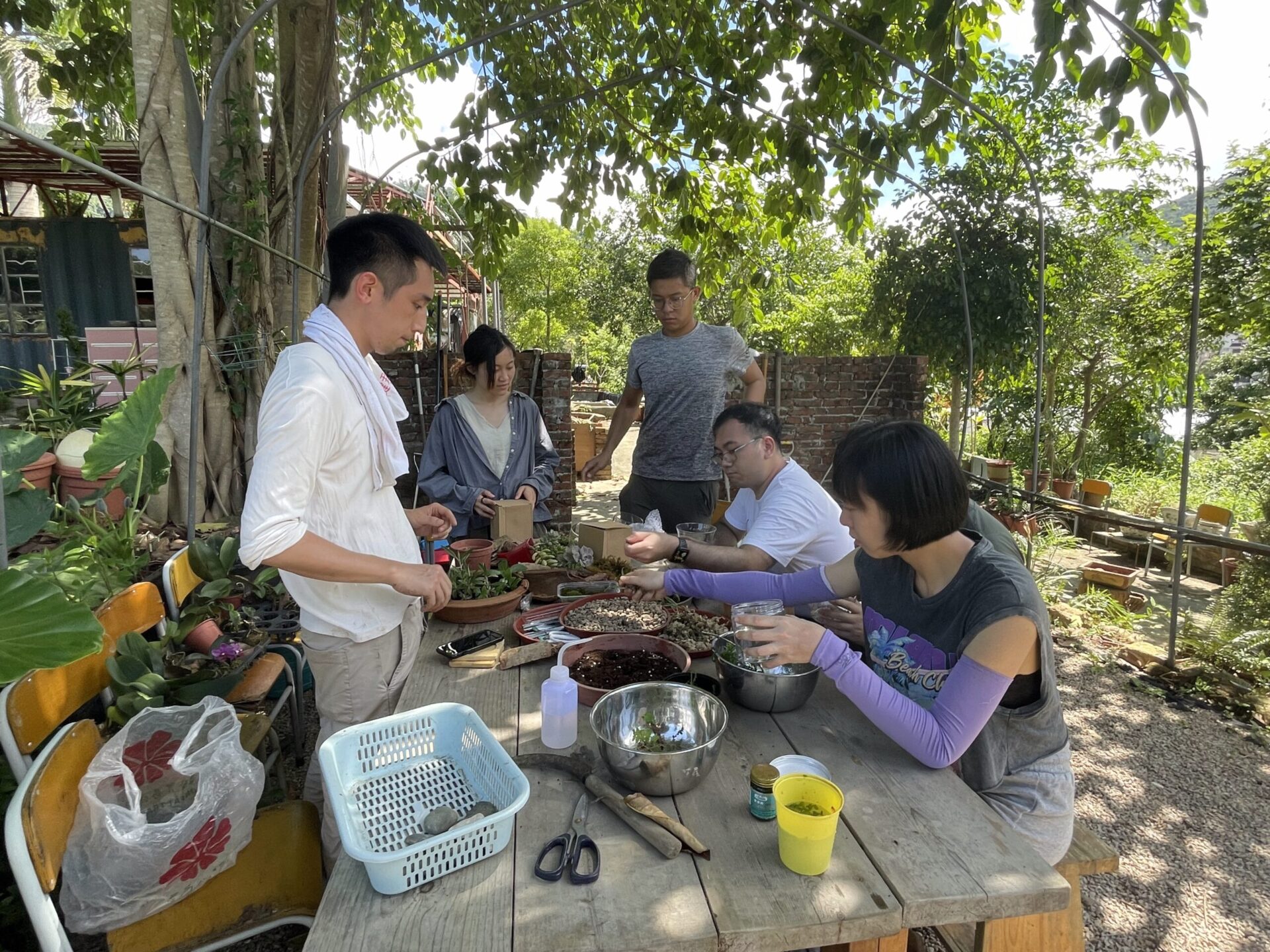 Inner Reflection: terrarium workshop