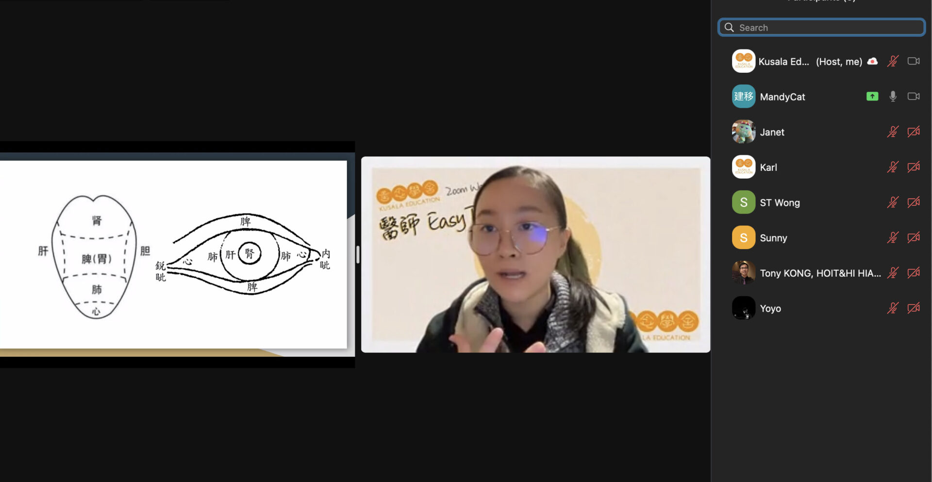 Wellness workshop for Diagnosis (visual) in Chinese Medicine